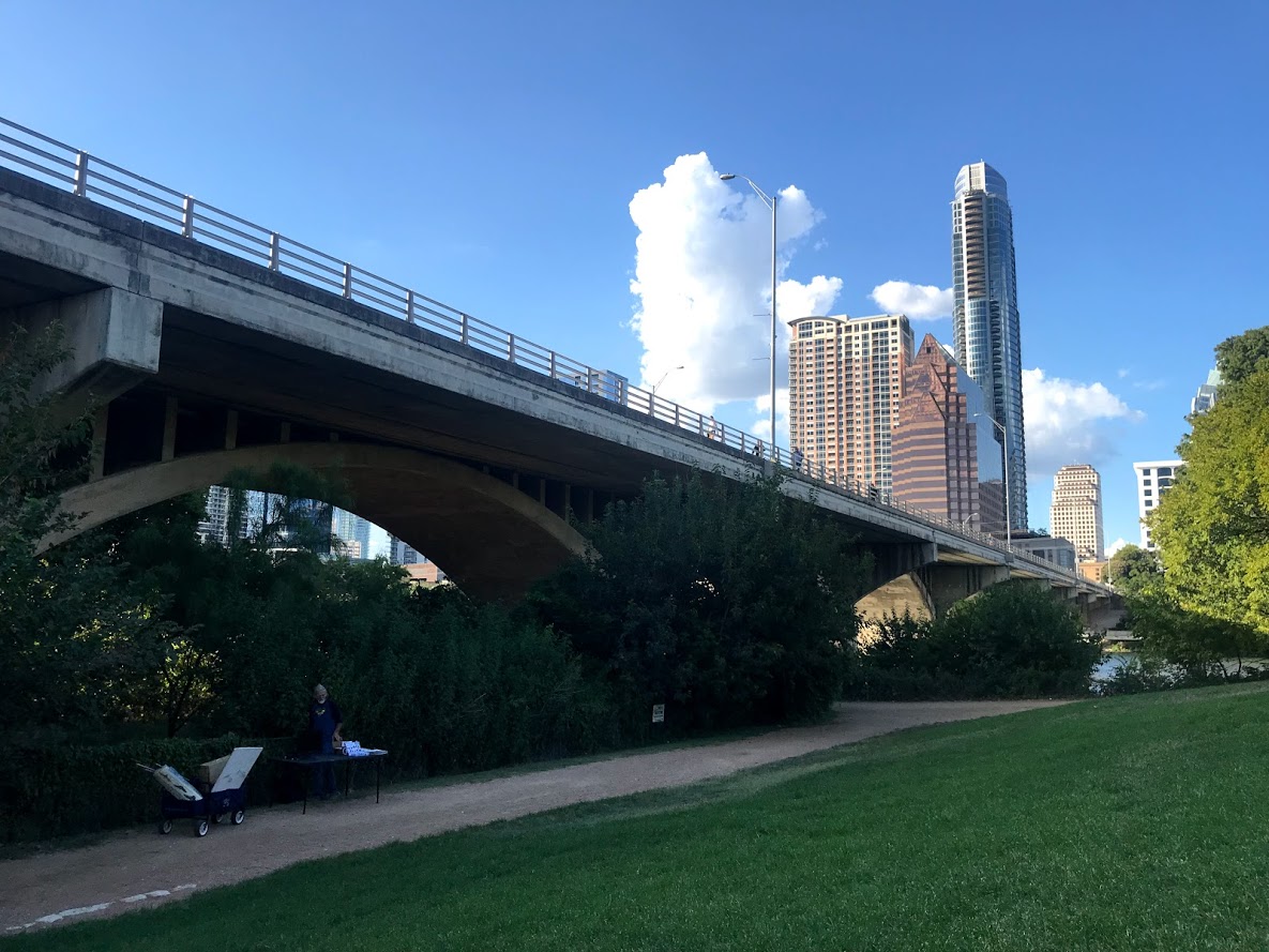 bats at bridge