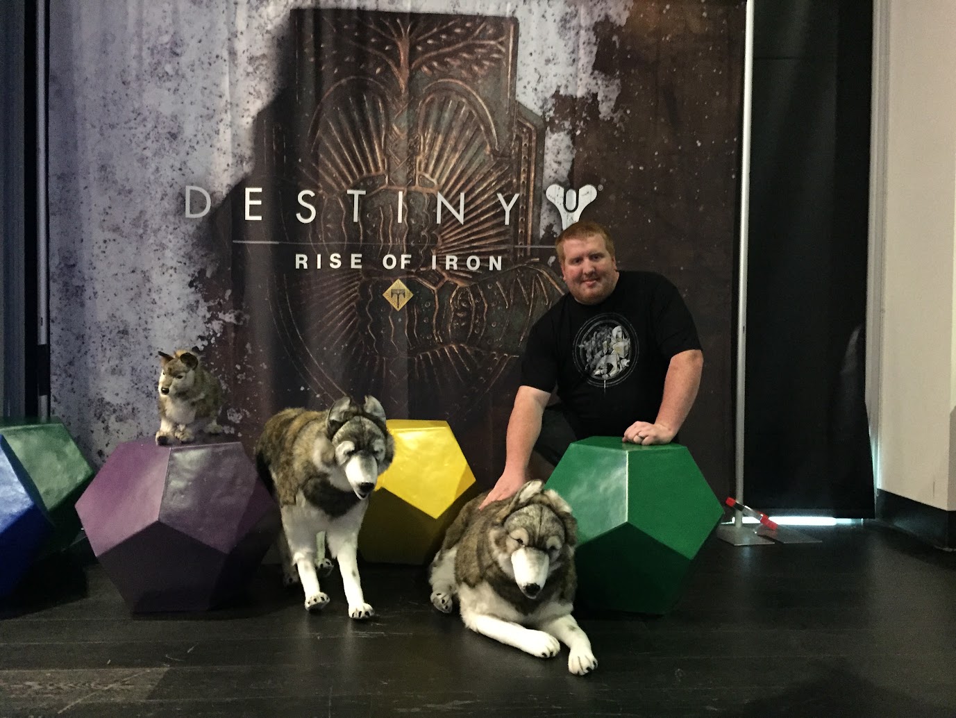 Rise of Iron, 2016