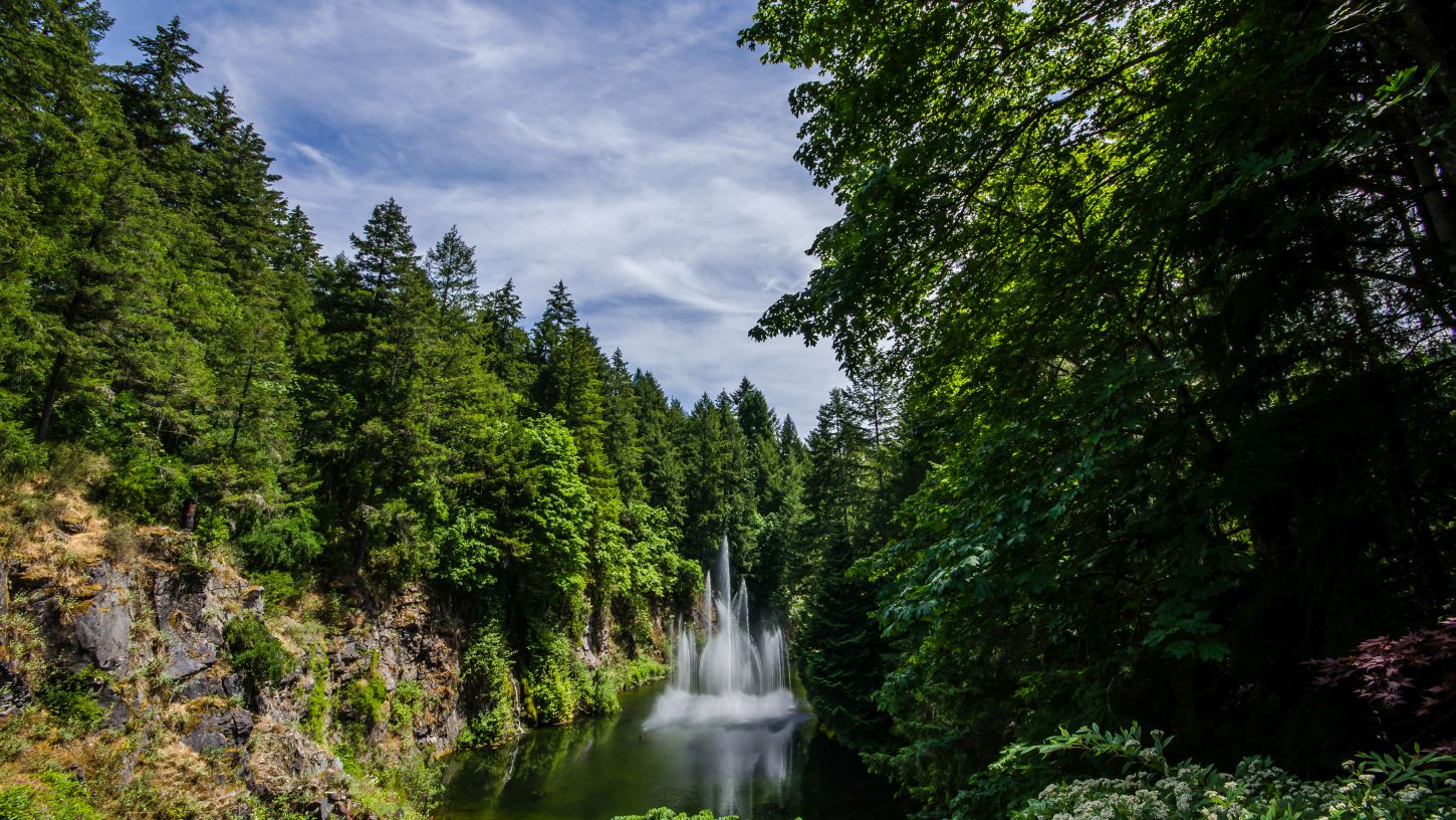 fountain